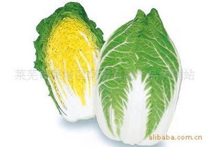 莱芜市莱城区润宇农副产品购销站 连接田间与餐桌的绿色桥梁