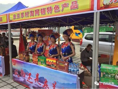 东兰乐村淘力助《第一书记》东兰专场节目产品展销组工作 农副产品销售